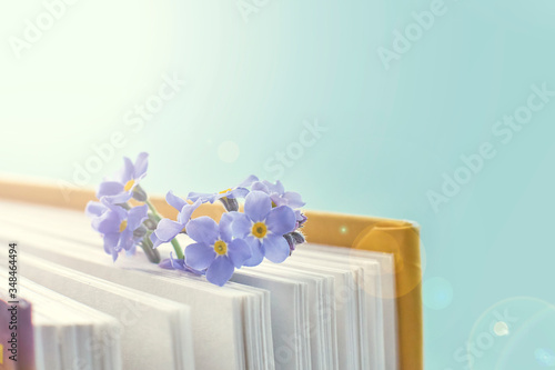 macro photo open books with a spring flowers nostalgic romantic mood concept photo