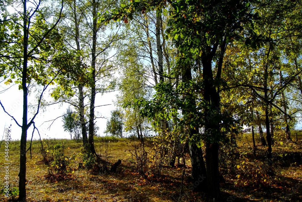 landscape of Central Russia in autumn, Tula region