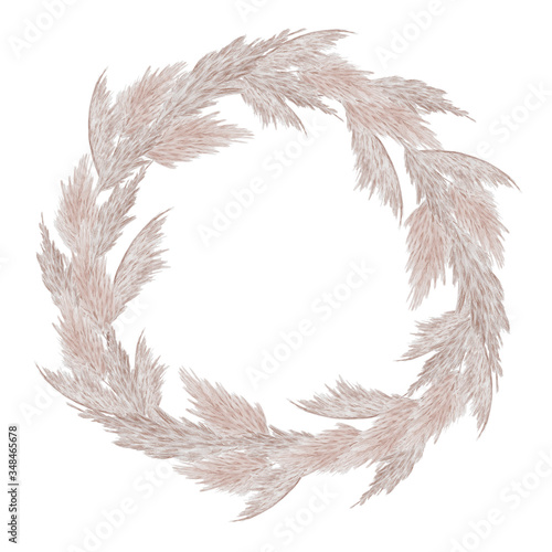 Pampas grass wreath illustration. Dried grass wreath.
