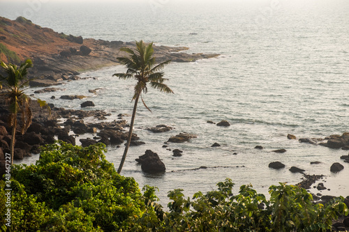 Canvas Print Coastline of the Northern Goa