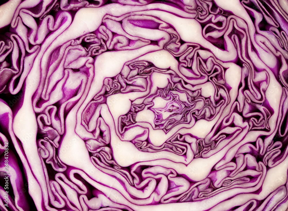 Cross section of a red cabbage background. Cross section of a red cabbage background.