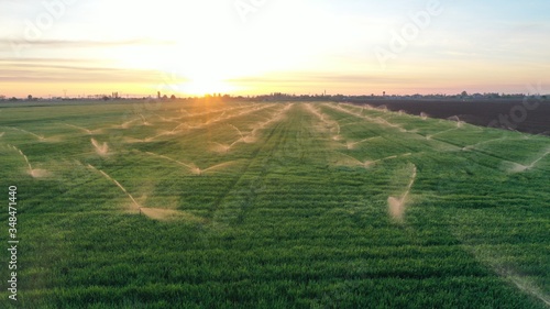 Irrigation systems are in grass field at sunset. Aerial view. Agricultural activity.  Spring landscape.