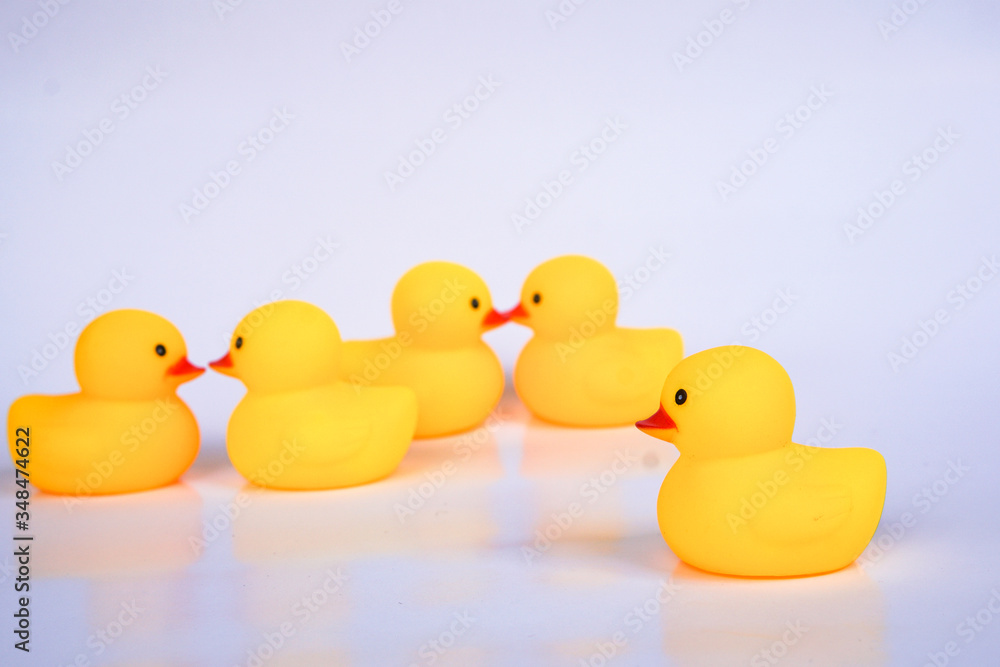 Yellow duck toys isolated on white background for friendship and unity concept. Yellow duck toys isolated on white background for friendship and unity concept.