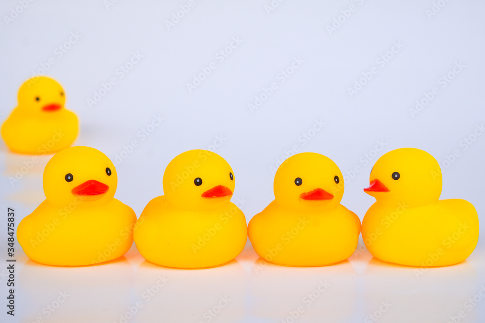 Yellow duck toys isolated on white background for friendship and unity concept. Yellow duck toys isolated on white background for friendship and unity concept.