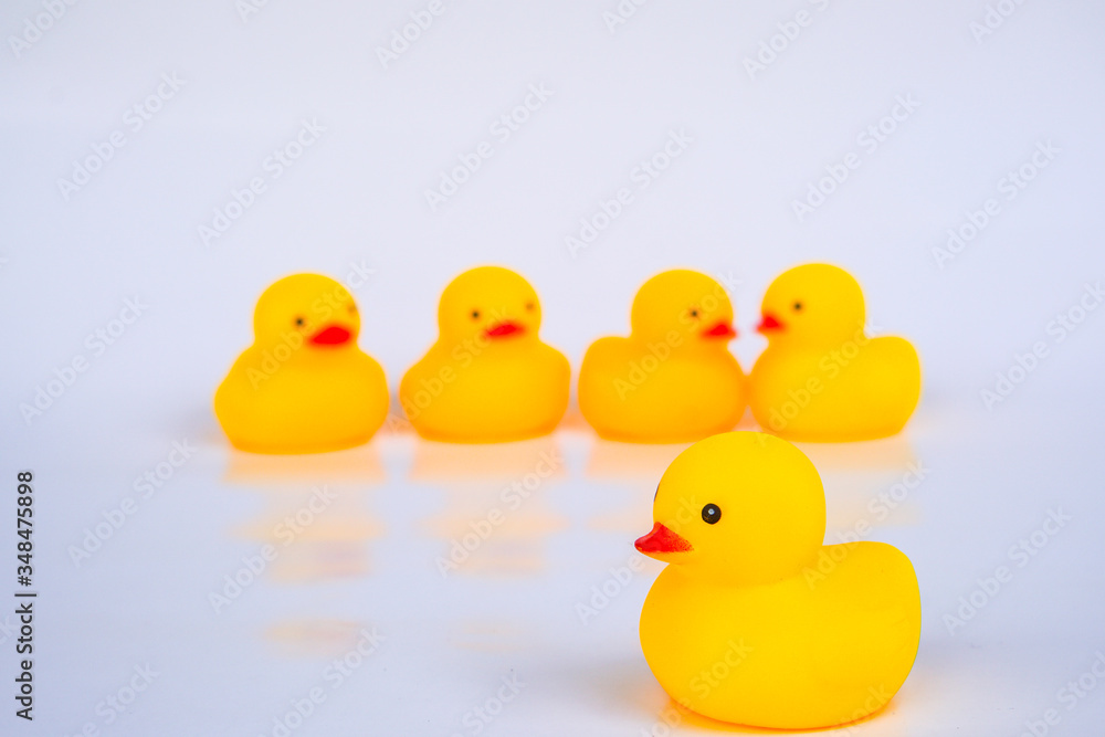 Yellow duck toys isolated on white background for friendship and unity concept. Yellow duck toys isolated on white background for friendship and unity concept.