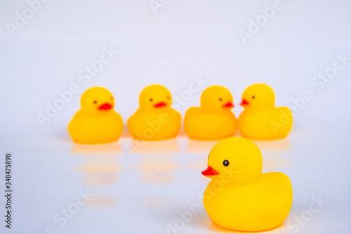Yellow duck toys isolated on white background for friendship and unity concept.