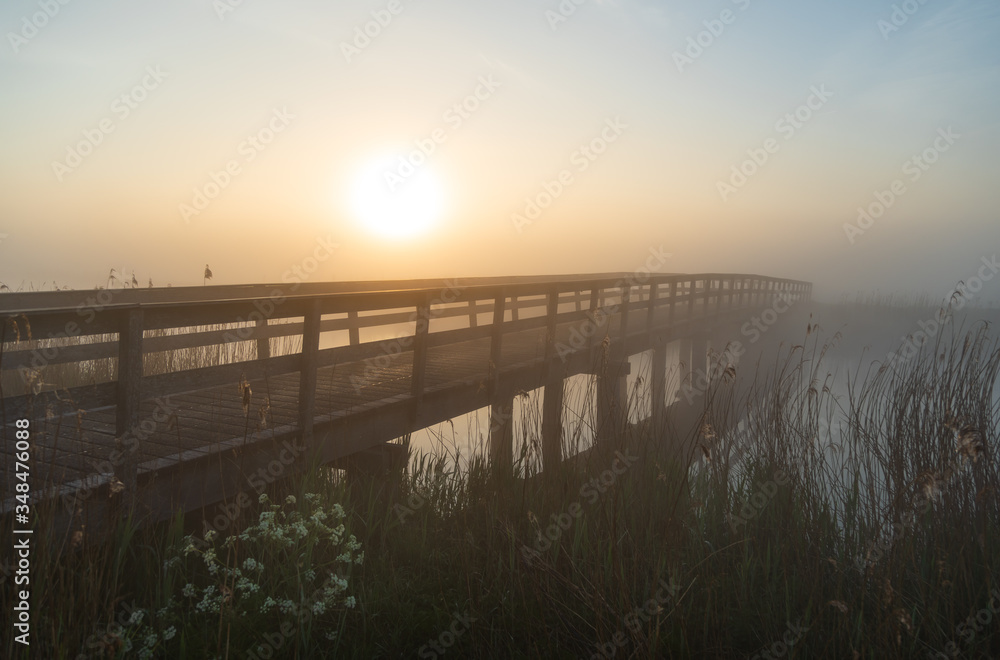 Small wooden bridge in a nature area during a foggy, spring sunrise.