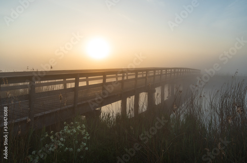 Small wooden bridge in a nature area during a foggy  spring sunrise.