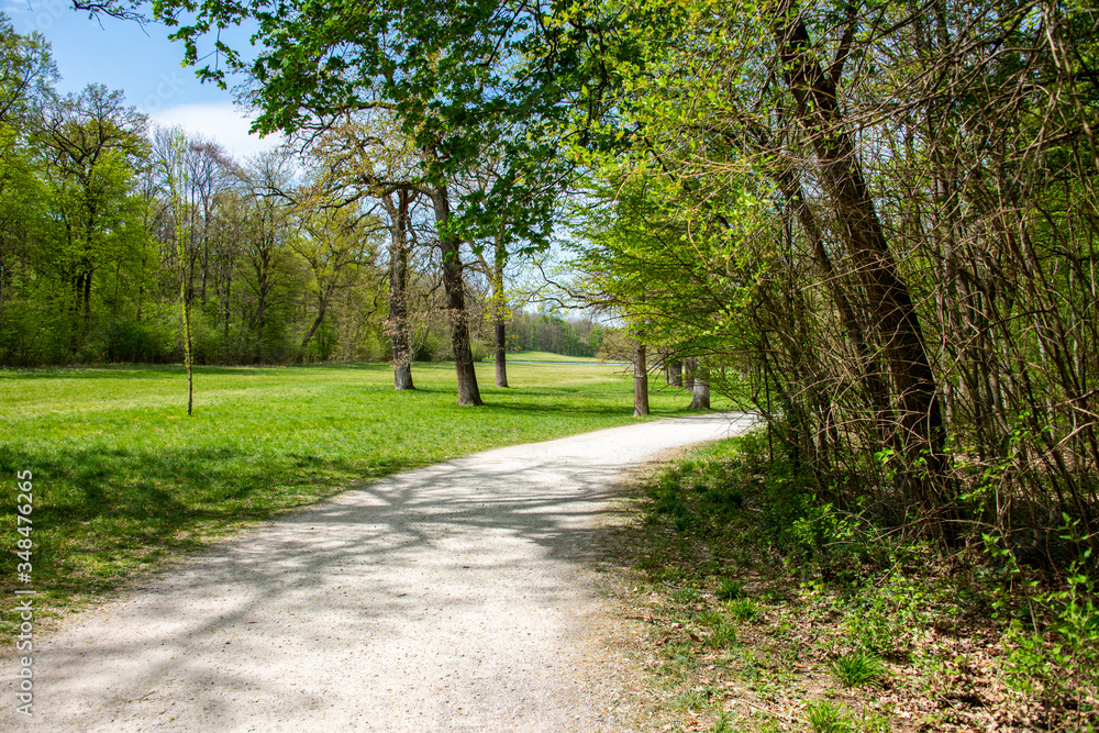 Beautiful landscape in park with tree and green grass field at morning Beautiful landscape in park with tree and green grass field at morning