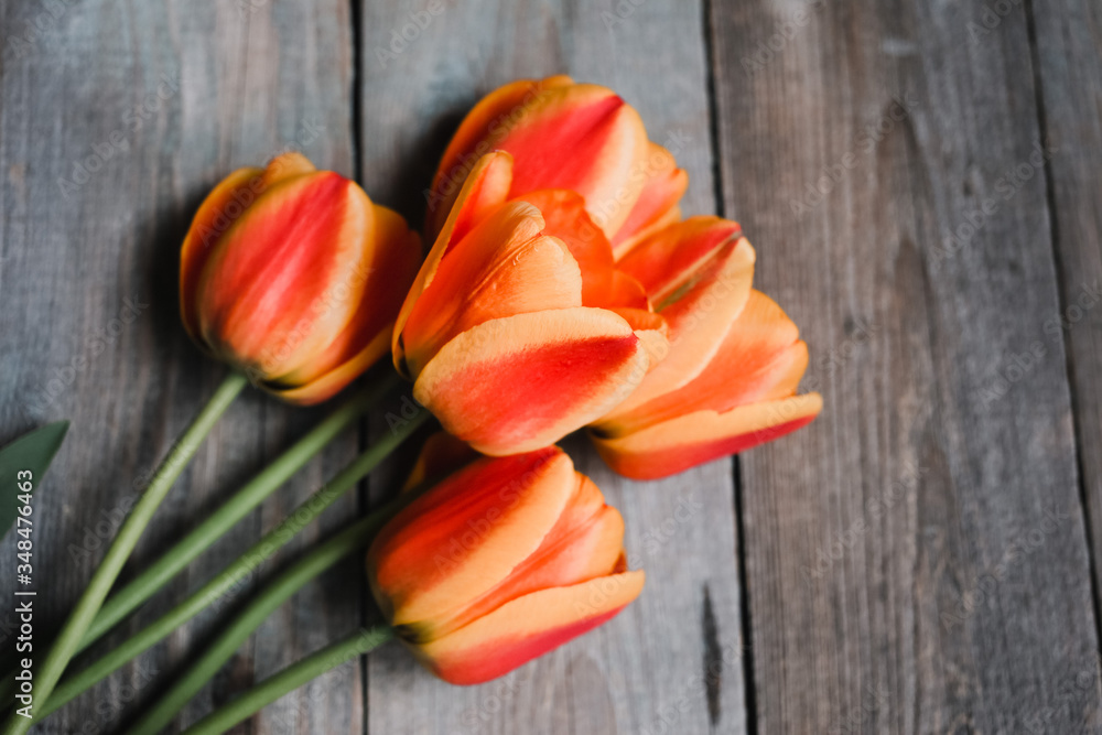 Bouquet of colorful tulips on old wooden background. Selective focus, top view with copy space