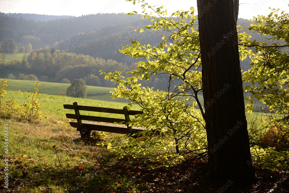 Bank am Waldrand bei Erbach-Erbuch Bank am Waldrand bei Erbach-Erbuch
