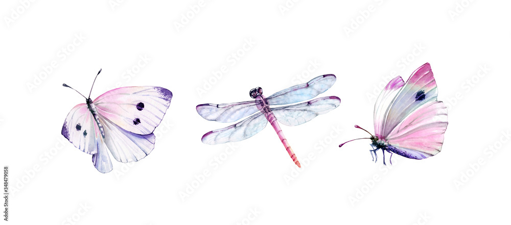 Watercolor set of dragonfly and white butterflies. Realistic insect painting isolated on white. Detailed wings and pink body. Hand painted collection of summer illustrations - obrazy, fototapety, plakaty 