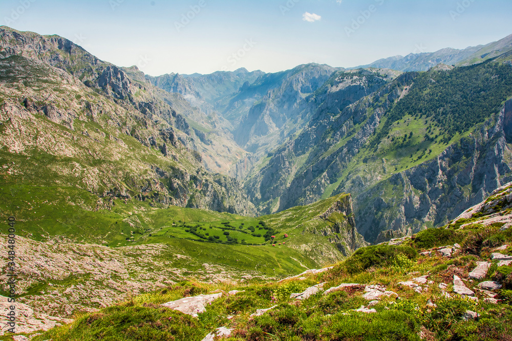 views of the cares gorge from the top of the mountains, green meadows of the picos de europa
