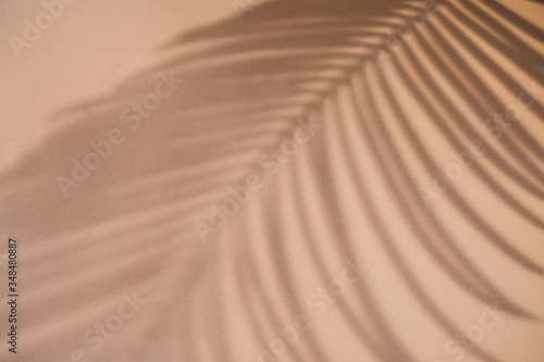 Shadow of palm leaf on natural earthy colors background. Creative drawing of light and shadow for your design