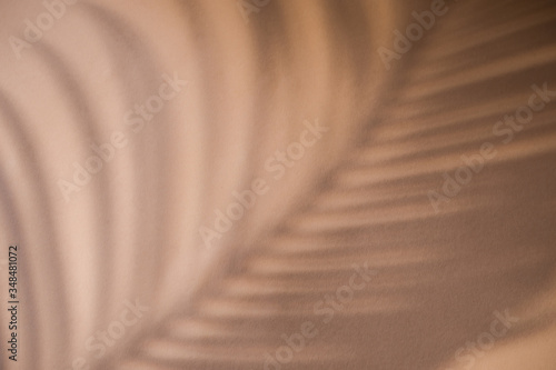 Shadow of palm leaf on natural earthy colors background. Creative drawing of light and shadow for your design photo