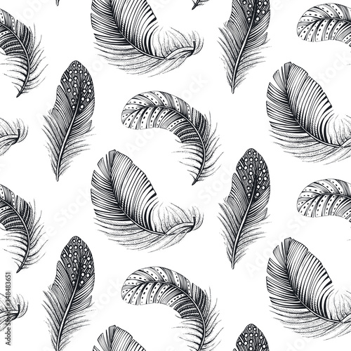 Vector seamless pattern with natural bird feathers. Hand drawn endless background