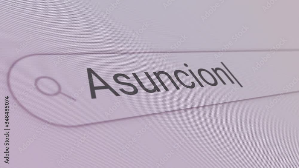 Asuncion Search Bar Close Up Single Line Typing Text Box Layout Web Database Browser Engine Concept Asuncion Search Bar Close Up Single Line Typing Text Box Layout Web Database Browser Engine Concept