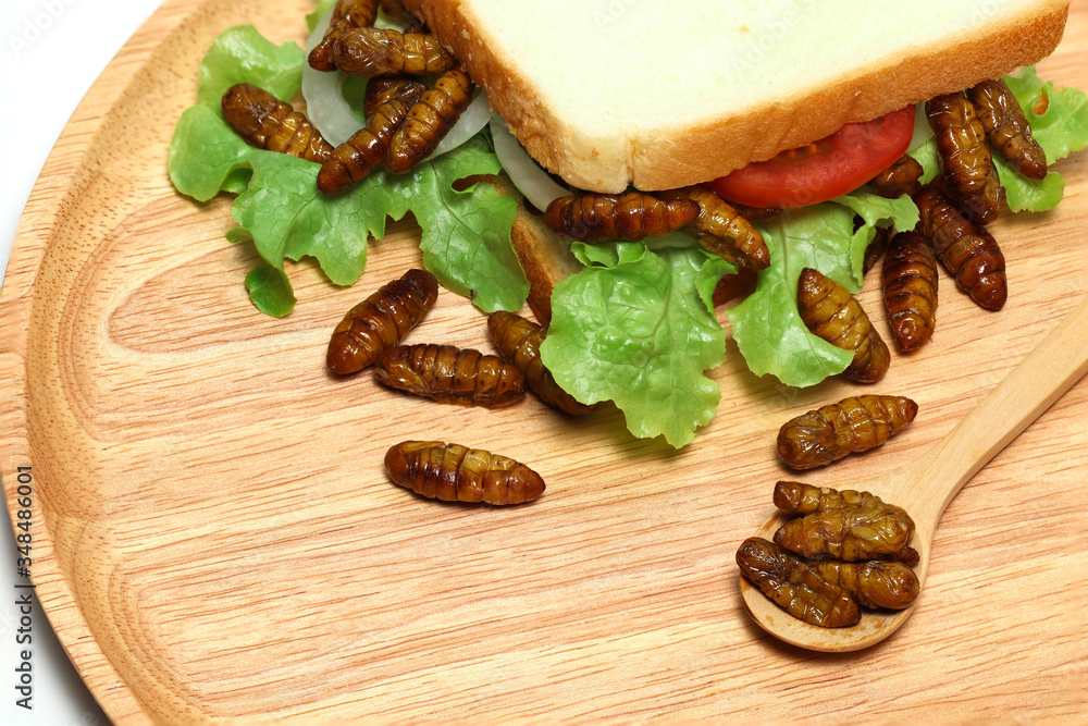 Sandwiches that use insects as a source of protein instead of meat.