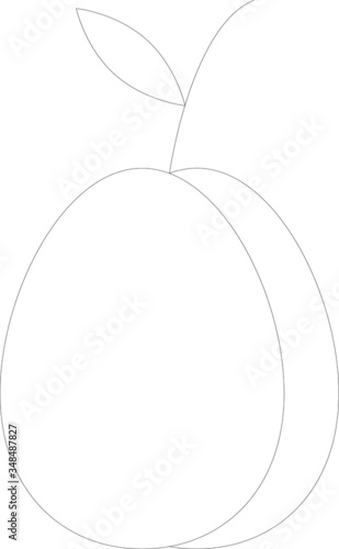 fruit 