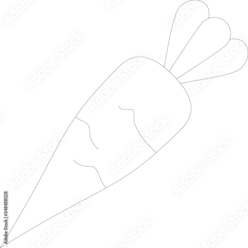 vegetable 