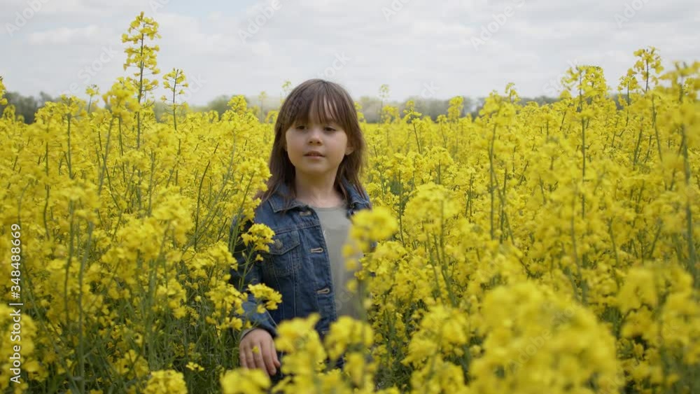 Smiling young girl in jeans jacket walking through blooming fresh yellow canola field Smiling young girl in jeans jacket walking through blooming fresh yellow canola field