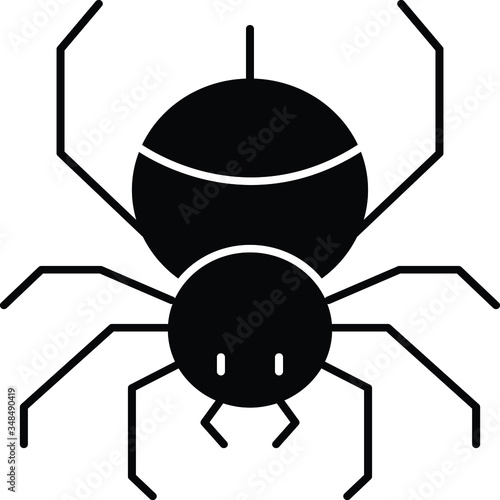 insect 