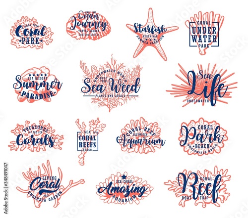 Underwater sea corals, starfish and polyps, vector sketch icons. Summer beach resort, ocean boat trips and travel, hand drawn oceanarium coral reef starfish and aquarium seaweed, sea life symbols