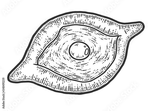 Khachapuri with egg, national food of Georgia. Sketch scratch board imitation.