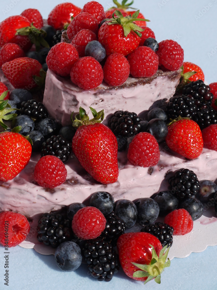 Die Waldfrucht-Torte Die Waldfrucht-Torte