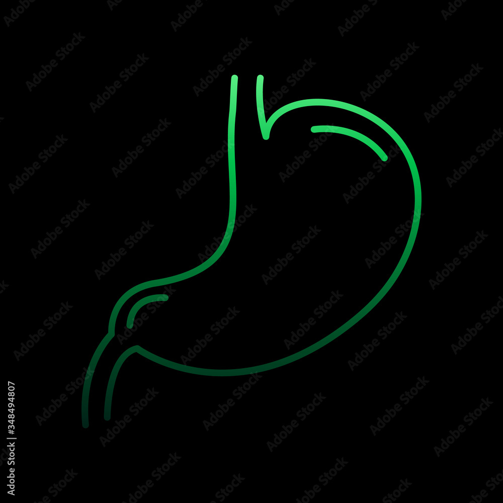 Fotografie Stomach, organ nolan icon