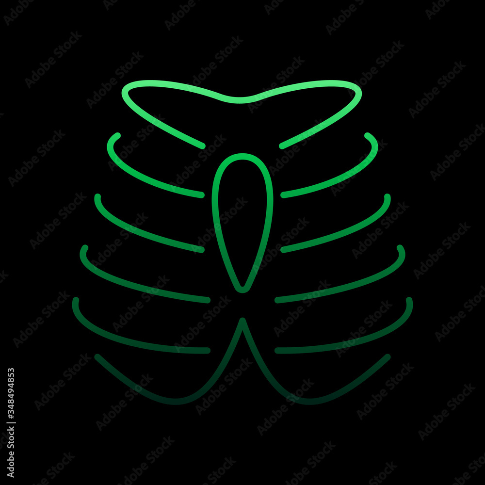 Fotografie Thorax, organ nolan icon
