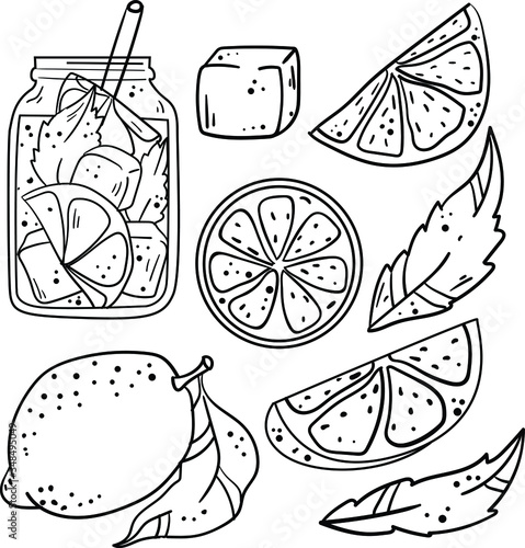 Contour vector illustration with lemonade, ice, lemon and mint on white background. Good for printing. Coloring book ideas. Postcard and logo elements. Isolated set.
