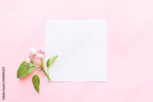 Summer and spring composition. Branch of a blossoming apple tree, white paper blank on pink background. Summer and spring concept. Flat lay, top view, copy space © Nata