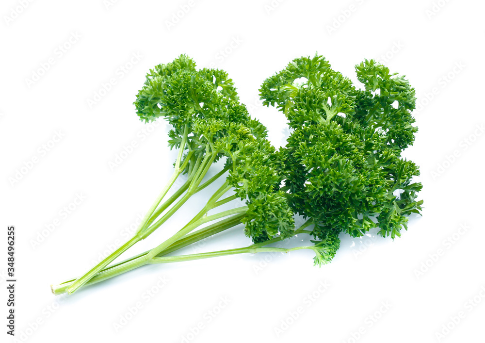 parsley isolated on white background parsley isolated on white background
