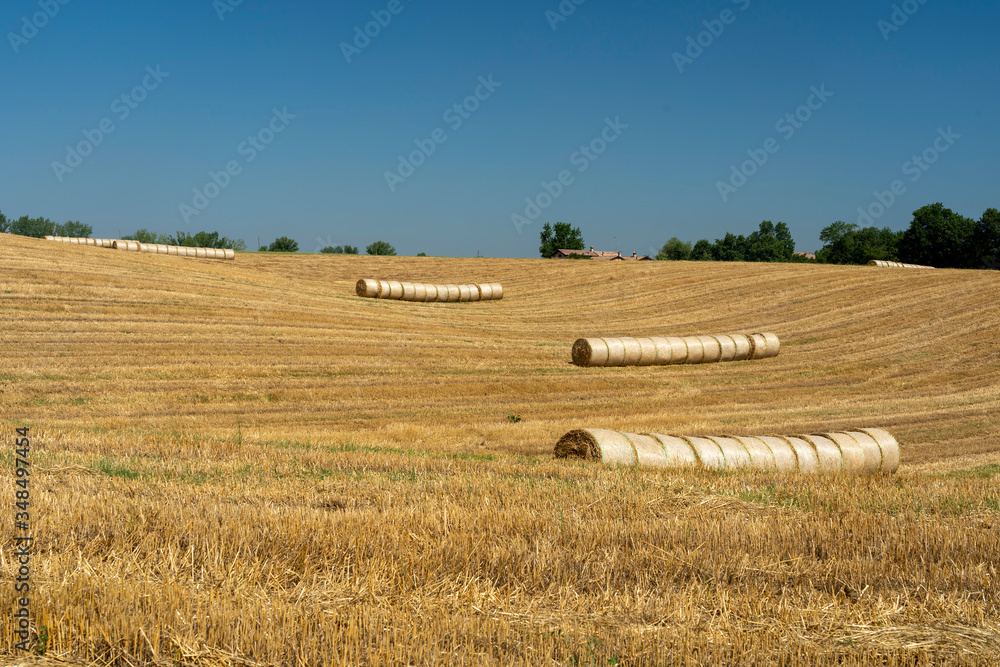 Country landscape in Reggio Emilia province