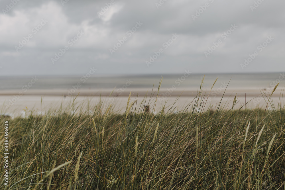 Spiekeroog - Wattenmeer - UNESCO Weltnaturerbe Spiekeroog - Wattenmeer - UNESCO Weltnaturerbe