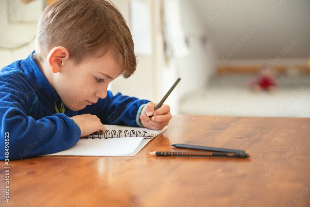 Elementary Boy Learning At Home Elementary Boy Learning At Home