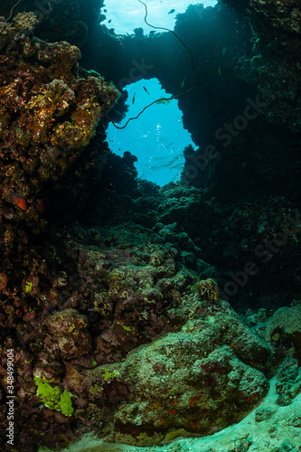 Fototapeta Naklejka Na Ścianę i Meble -  typical underwater cave in a red sea reef