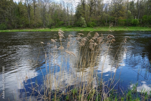 River Memele near Kurmene in spring on a sunny day, Latvia photo