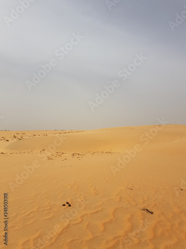 lompoul desert yellow sand photographed from the air in Africa camels and drivers go by caravan in Africa