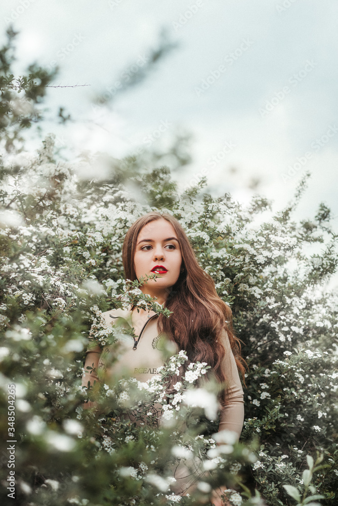 A young beautiful brown-haired girl under blossom tree. Woman on spring blossom background. Lady sniff blossoming flower A young beautiful brown-haired girl under blossom tree. Woman on spring blossom background. Lady sniff blossoming flower