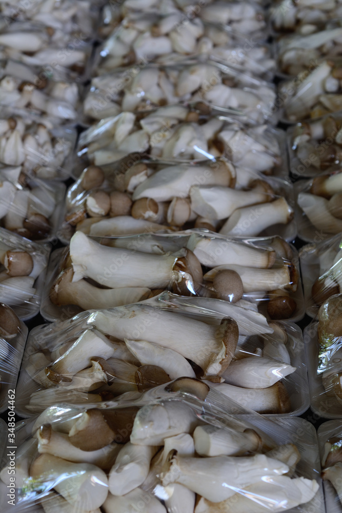 King oyster or Eringi mushroom pack in foam tray. King oyster or Eringi mushroom pack in foam tray.