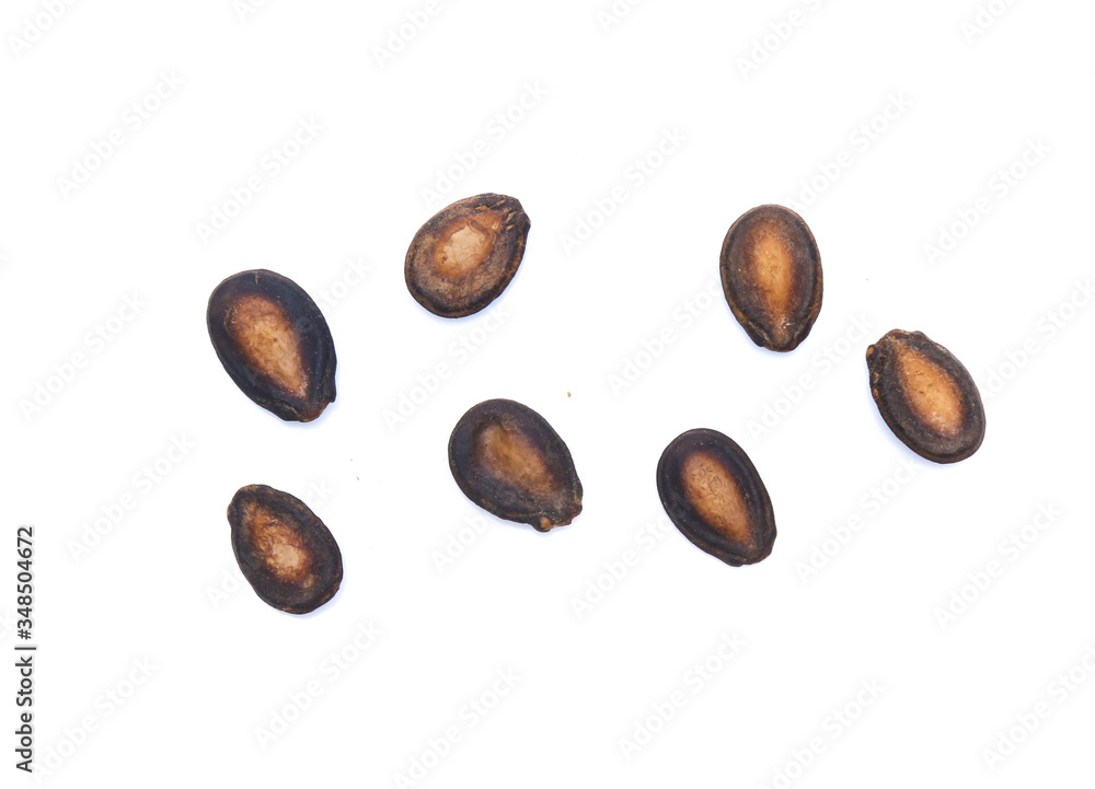 custom made wallpaper toronto digitaldry watermelon seed on white background