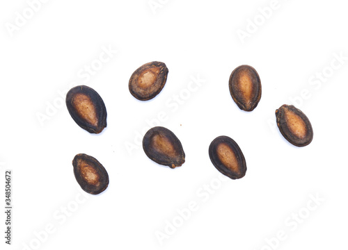 Wallpaper Mural dry watermelon seed on white background Torontodigital.ca