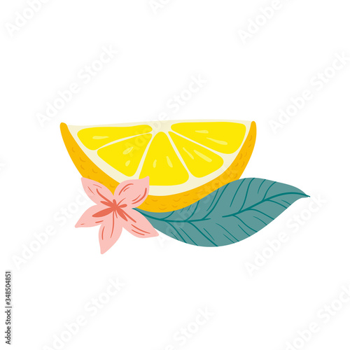 Lemon. Tropical summer fruit isolated on a white background. Citrus in hand drawn style. Scandinavian nordic design for fashion or interior or cover or textile or background. 