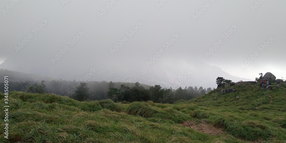 misty mountain grassland