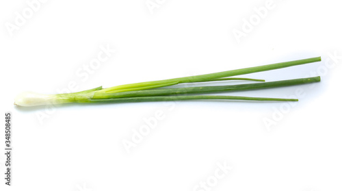 Bunching Onion on white background