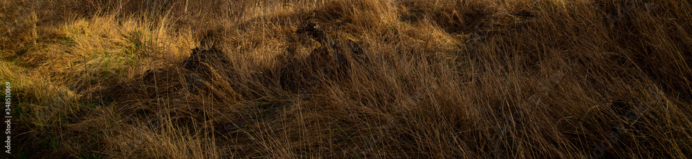 Fototapeta premium dry brown grass field abstract soft focus outside space of dramatic autumn season