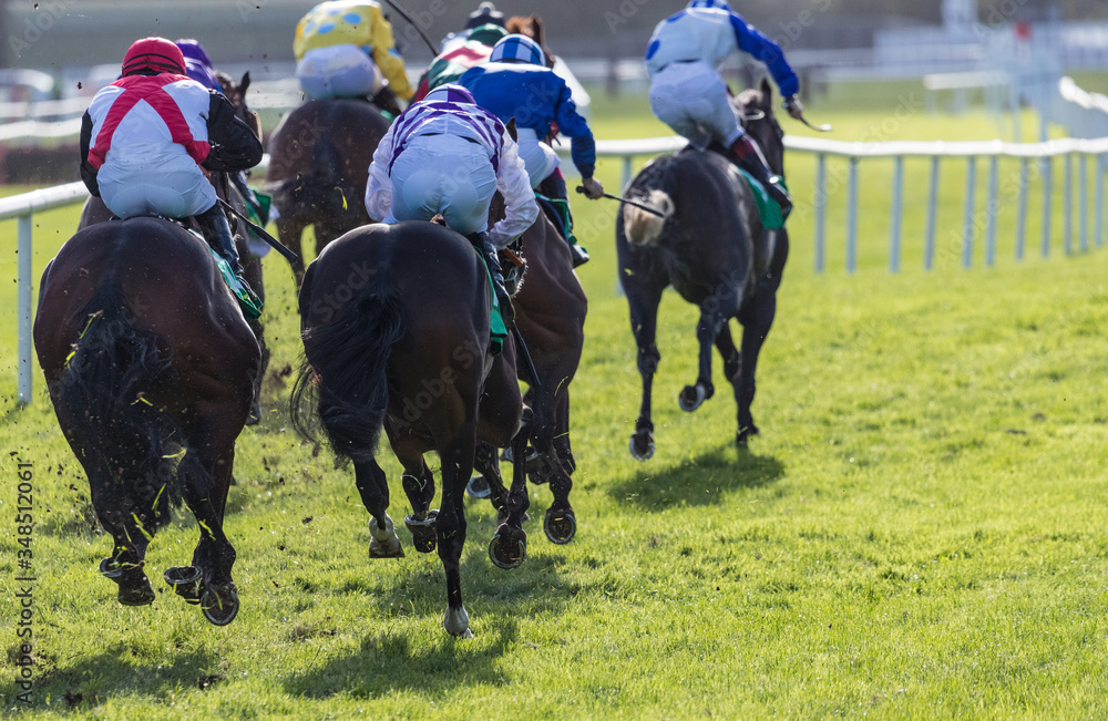 Race horseing action, Final sprint towards the finish line Race horseing action, Final sprint towards the finish line
