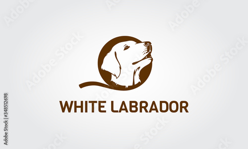 Vector image of an Labrador dog head on white background. Head cute dogs. Head puppy Labrador.